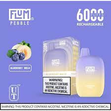 FLUM Pebble Rechargeable Disposable [6000]