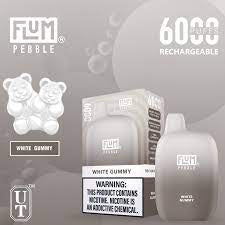 FLUM Pebble Rechargeable Disposable [6000]