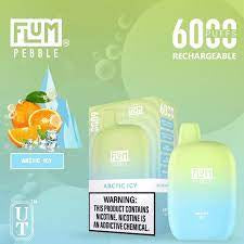 FLUM Pebble Rechargeable Disposable [6000]