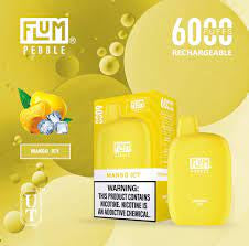 FLUM Pebble Rechargeable Disposable [6000]